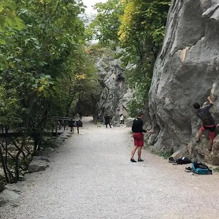 Ruza * Starigrad Paklenica