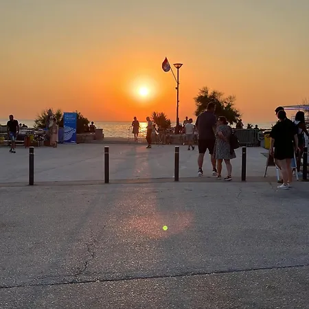 Ruza Starigrad Paklenica