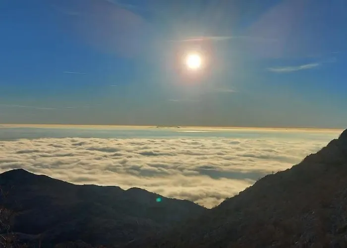 Ruza * スタリグラード