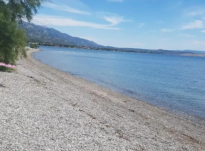 Ruza * Starigrad Paklenica