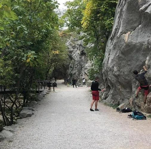 Ruza * Starigrad Paklenica